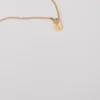 Medaglia zodiacale